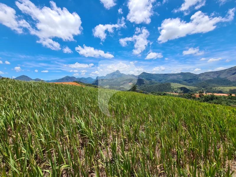 Terreno Residencial à venda em Itaipava, Petrópolis - RJ - Foto 4
