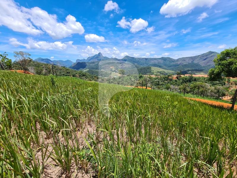 Terreno Residencial à venda em Itaipava, Petrópolis - RJ - Foto 3