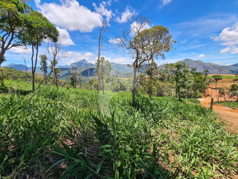 Terreno Residencial à venda em Itaipava, Petrópolis - RJ - Foto 1