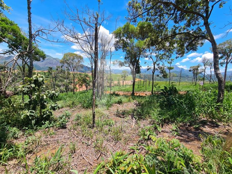 Terreno Residencial à venda em Itaipava, Petrópolis - RJ - Foto 2
