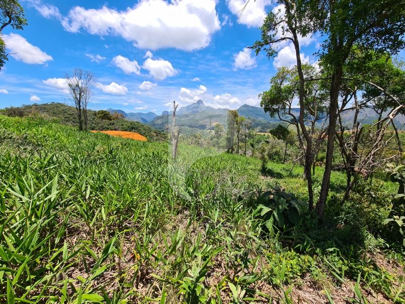 Terreno Residencial à venda em Itaipava, Petrópolis - RJ - Foto 3