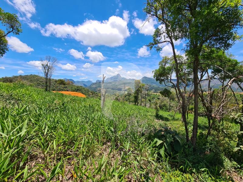 Terreno Residencial à venda em Itaipava, Petrópolis - RJ - Foto 4