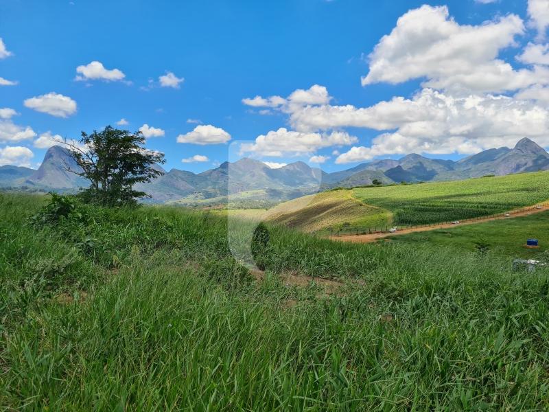 Terreno Residencial à venda em Itaipava, Petrópolis - RJ - Foto 4