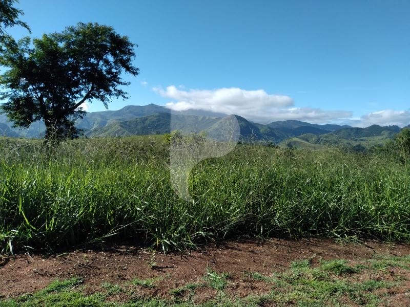 Terreno Residencial à venda em Centro, Areal - RJ - Foto 3