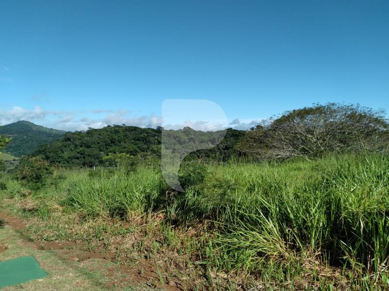 Terreno Residencial à venda em Centro, Areal - RJ - Foto 1