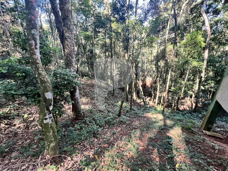 Terreno Residencial à venda em Araras, Petrópolis - RJ - Foto 9