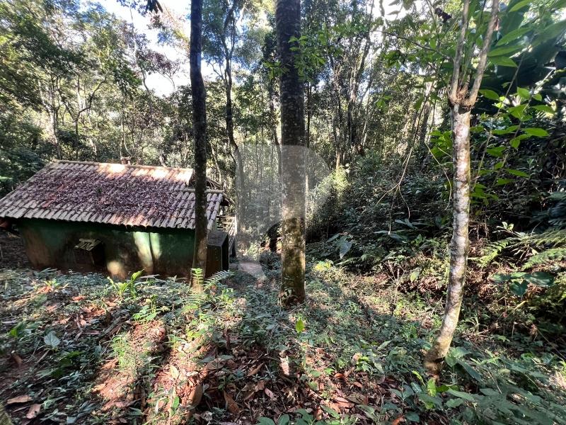 Terreno Residencial à venda em Araras, Petrópolis - RJ - Foto 10