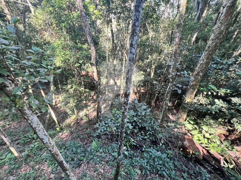 Terreno Residencial à venda em Araras, Petrópolis - RJ - Foto 11