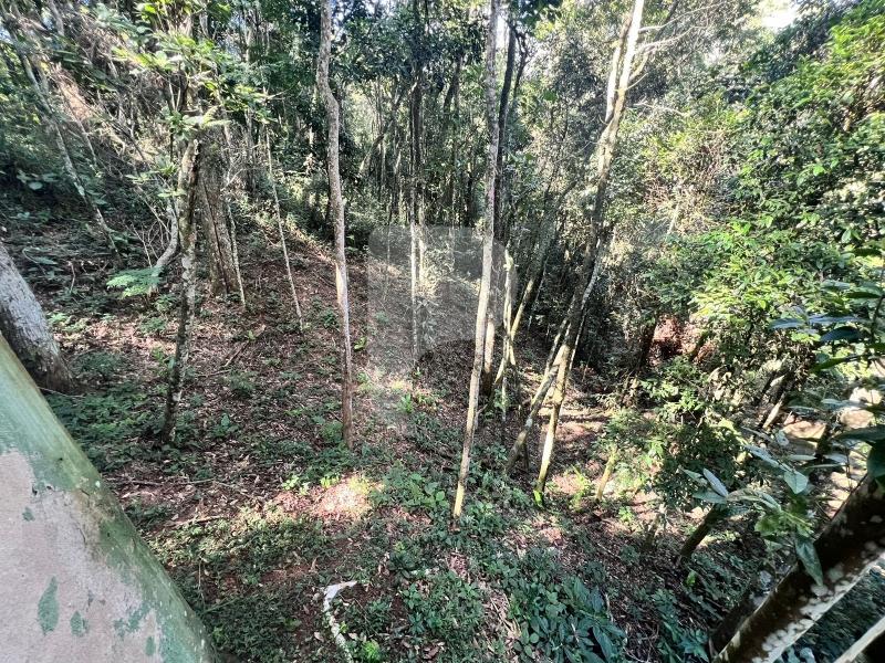 Terreno Residencial à venda em Araras, Petrópolis - RJ - Foto 12