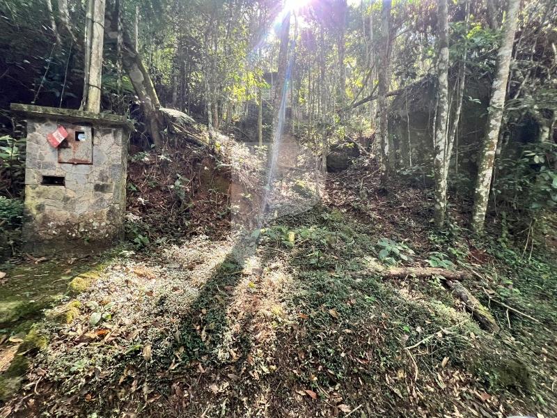 Terreno Residencial à venda em Araras, Petrópolis - RJ - Foto 15