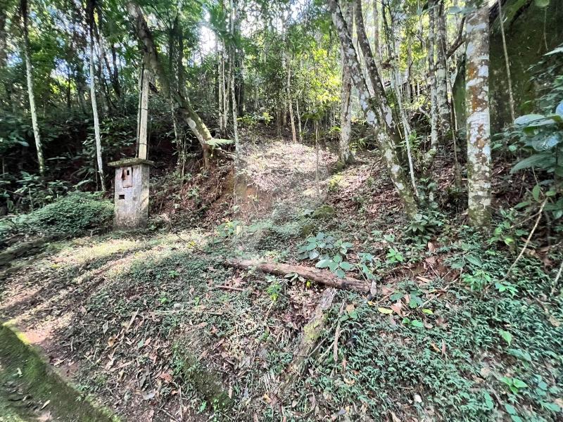Terreno Residencial à venda em Araras, Petrópolis - RJ - Foto 16
