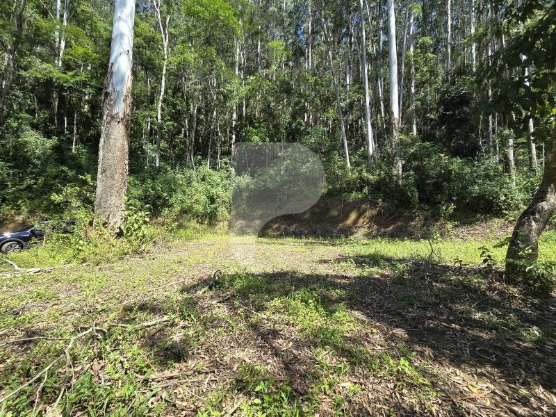 Terreno Residencial à venda em Araras, Petrópolis - RJ - Foto 7