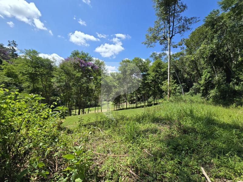 Terreno Residencial à venda em Araras, Petrópolis - RJ - Foto 8