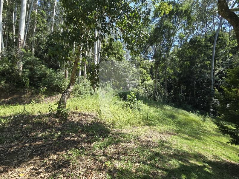 Terreno Residencial à venda em Araras, Petrópolis - RJ - Foto 10