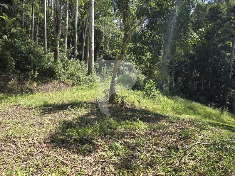 Terreno Residencial à venda em Araras, Petrópolis - RJ - Foto 11