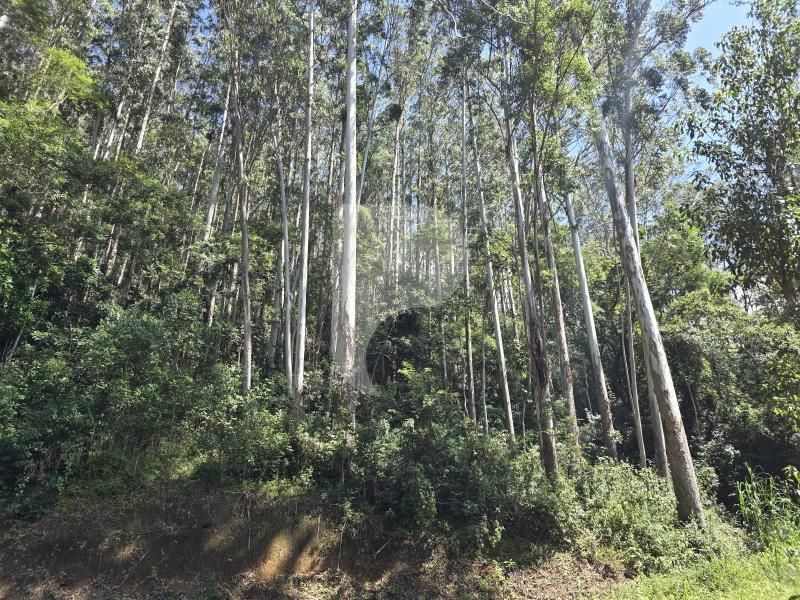 Terreno Residencial à venda em Araras, Petrópolis - RJ - Foto 12