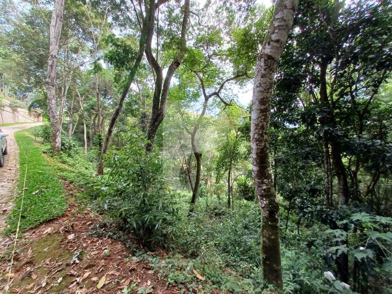 Terreno Residencial à venda em Corrêas, Petrópolis - RJ - Foto 1