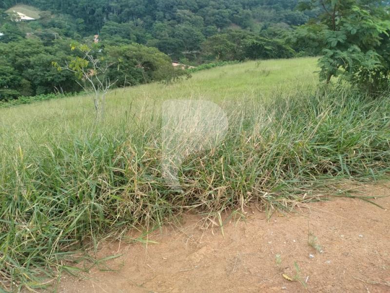 Terreno Residencial à venda em Centro, Areal - RJ - Foto 9