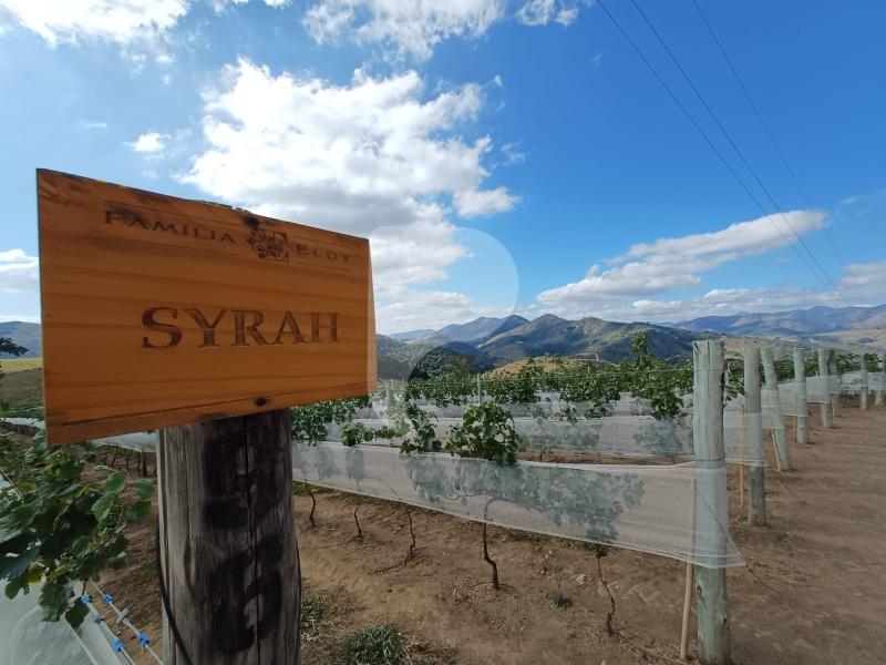 Terreno Residencial à venda em Centro, Areal - RJ - Foto 32