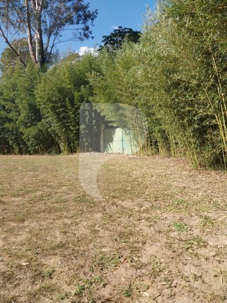 Terreno Residencial à venda em Itaipava, Petrópolis - RJ - Foto 17