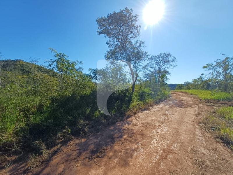 Terreno Comercial à venda em Centro, Areal - RJ - Foto 6