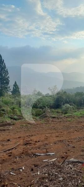 Terreno Residencial à venda em Itaipava, Petrópolis - RJ - Foto 4