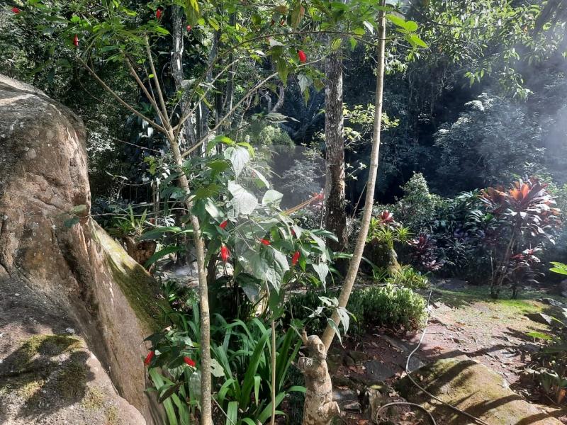 Casa à venda em Samambaia, Petrópolis - RJ - Foto 26