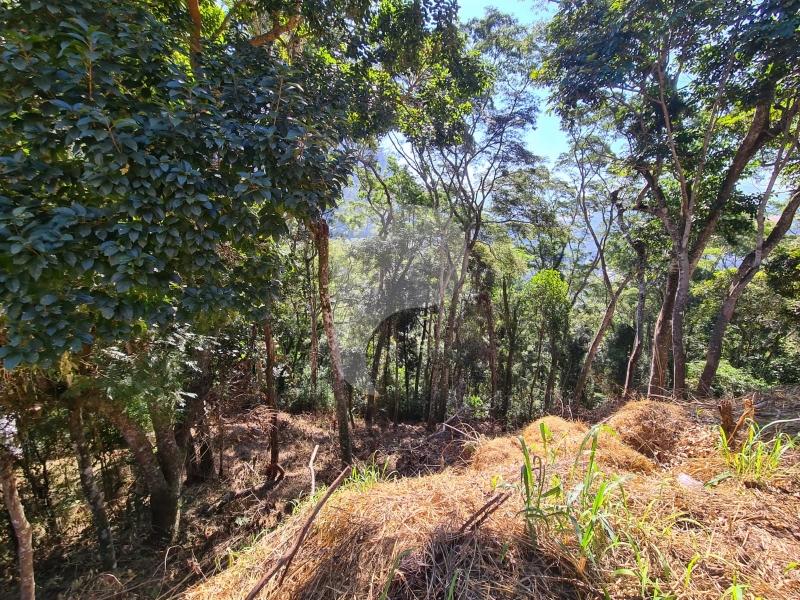 Terreno Residencial à venda em Itaipava, Petrópolis - RJ - Foto 1