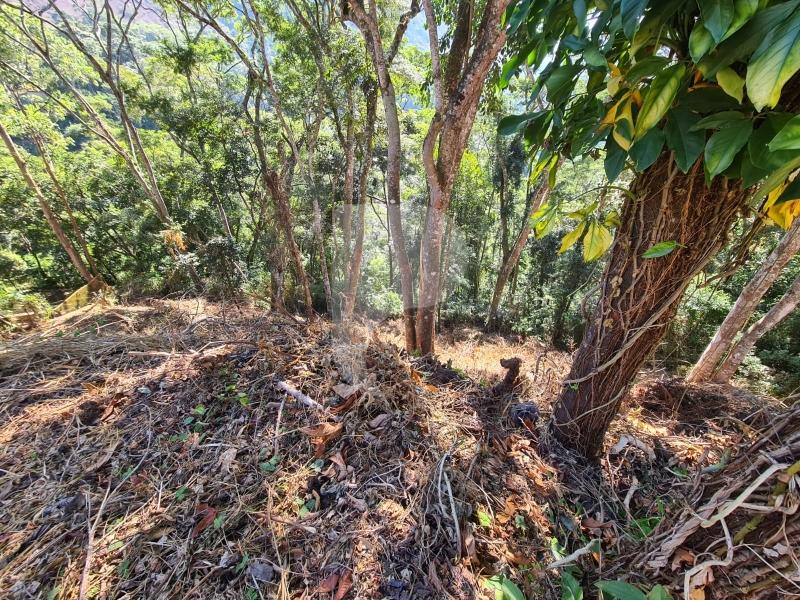 Terreno Residencial à venda em Itaipava, Petrópolis - RJ - Foto 2