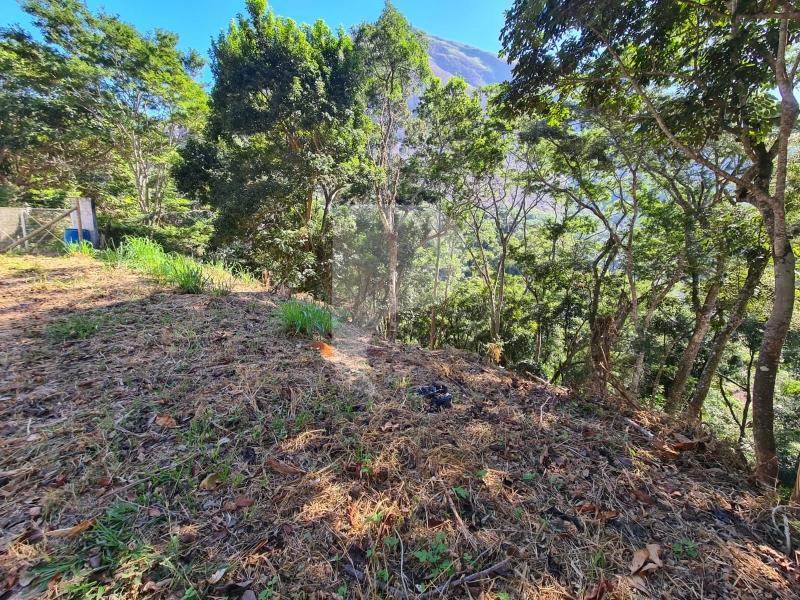 Terreno Residencial à venda em Itaipava, Petrópolis - RJ - Foto 3