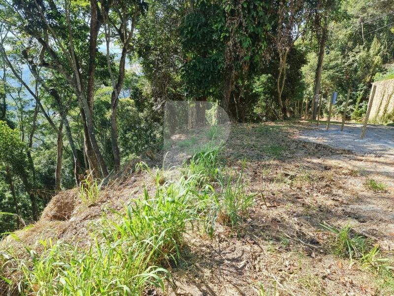 Terreno Residencial à venda em Itaipava, Petrópolis - RJ - Foto 4