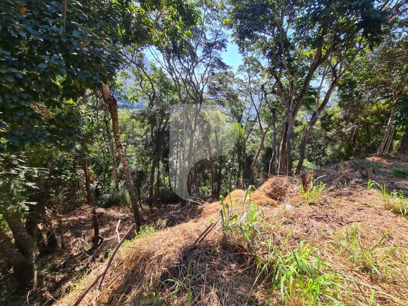 Terreno Residencial à venda em Itaipava, Petrópolis - RJ - Foto 5