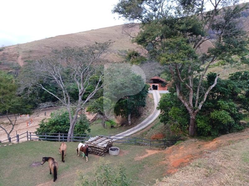 Fazenda / Sítio à venda em Pedro do Rio, Petrópolis - RJ - Foto 1