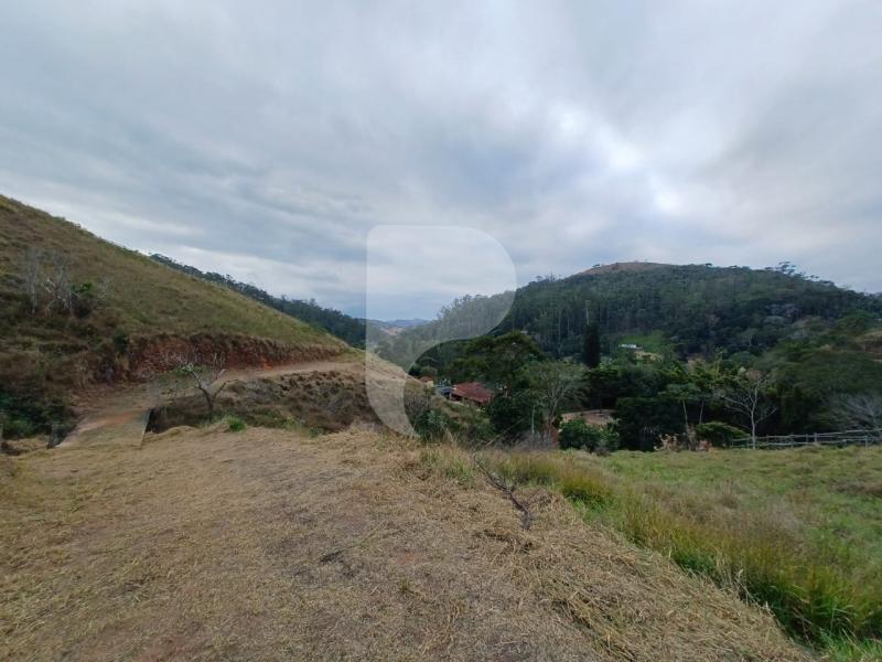 Fazenda / Sítio à venda em Pedro do Rio, Petrópolis - RJ - Foto 2