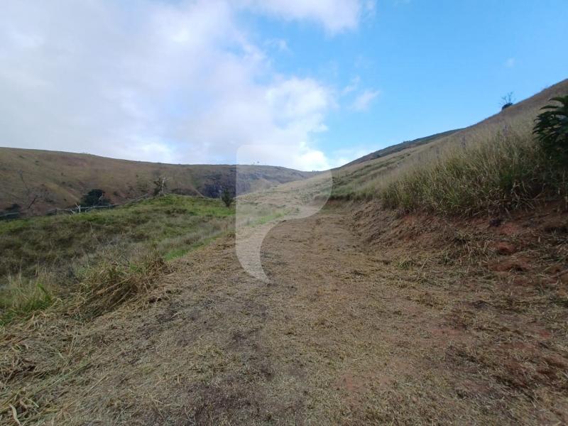 Fazenda / Sítio à venda em Pedro do Rio, Petrópolis - RJ - Foto 3