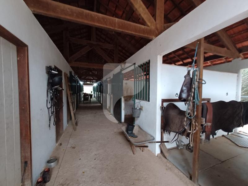 Fazenda / Sítio à venda em Pedro do Rio, Petrópolis - RJ - Foto 6