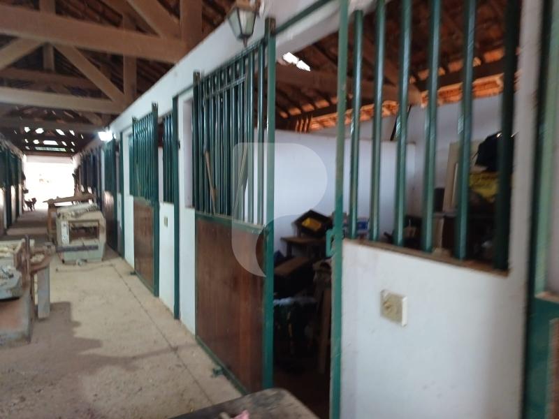 Fazenda / Sítio à venda em Pedro do Rio, Petrópolis - RJ - Foto 7