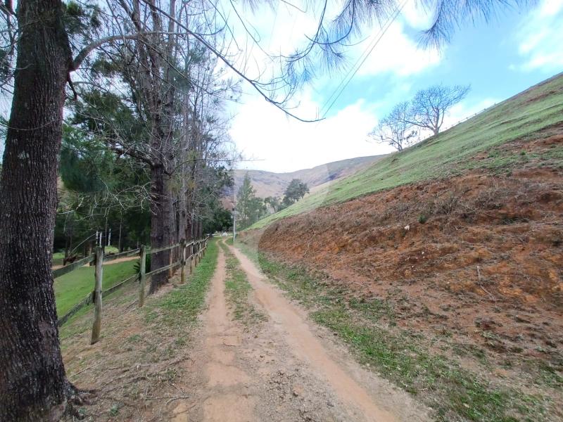 Fazenda / Sítio à venda em Pedro do Rio, Petrópolis - RJ - Foto 17