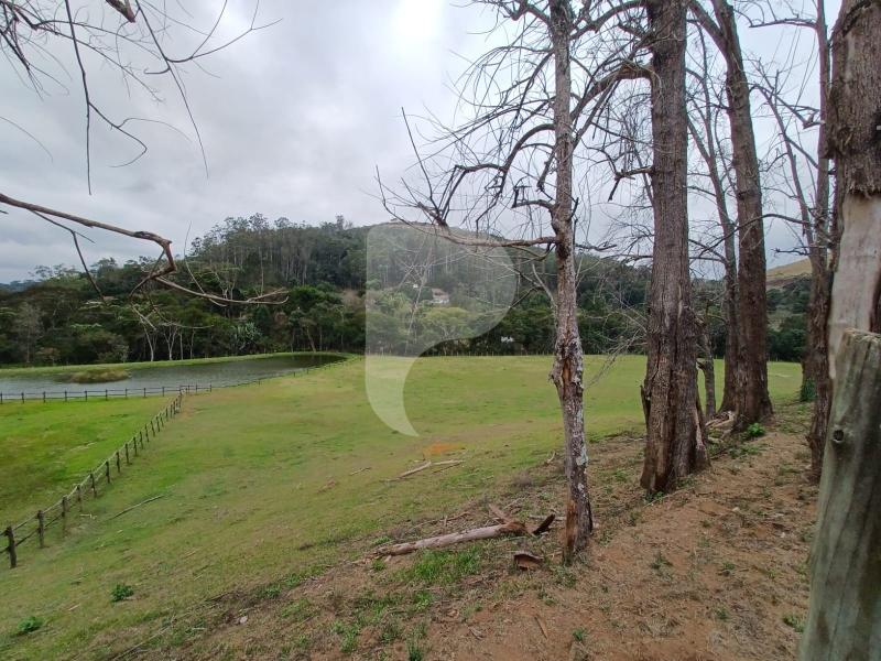 Fazenda / Sítio à venda em Pedro do Rio, Petrópolis - RJ - Foto 24
