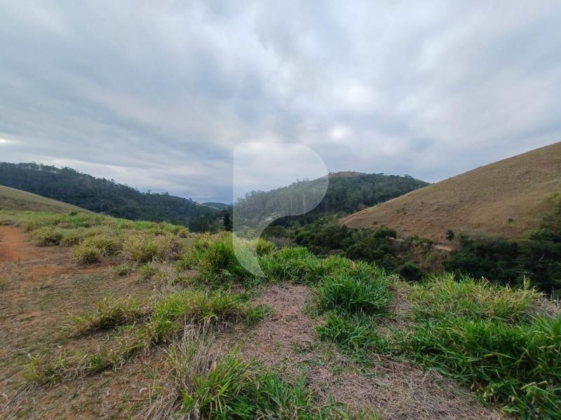 Fazenda / Sítio à venda em Pedro do Rio, Petrópolis - RJ - Foto 27
