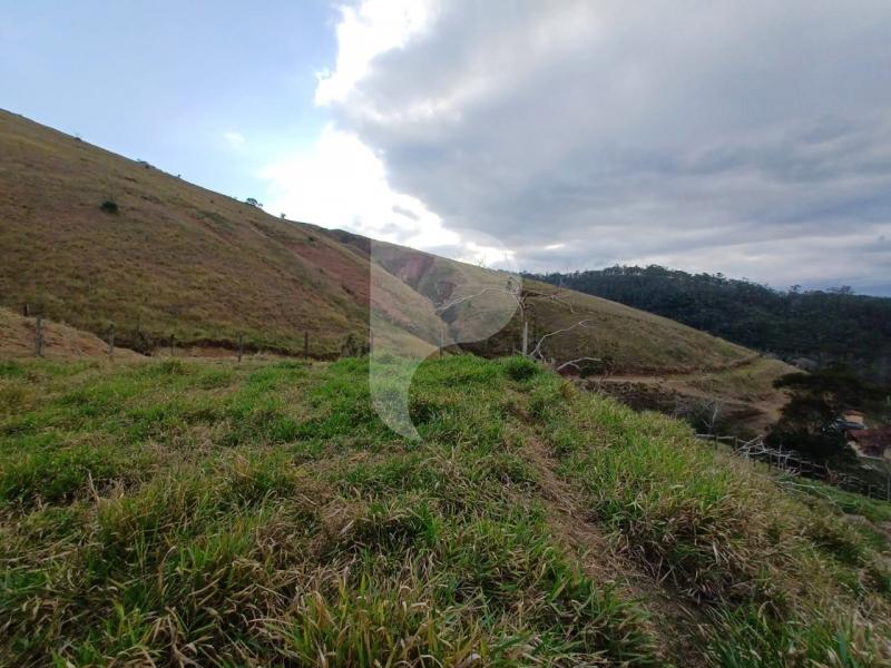 Fazenda / Sítio à venda em Pedro do Rio, Petrópolis - RJ - Foto 28