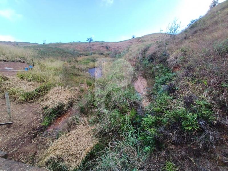 Fazenda / Sítio à venda em Pedro do Rio, Petrópolis - RJ - Foto 34