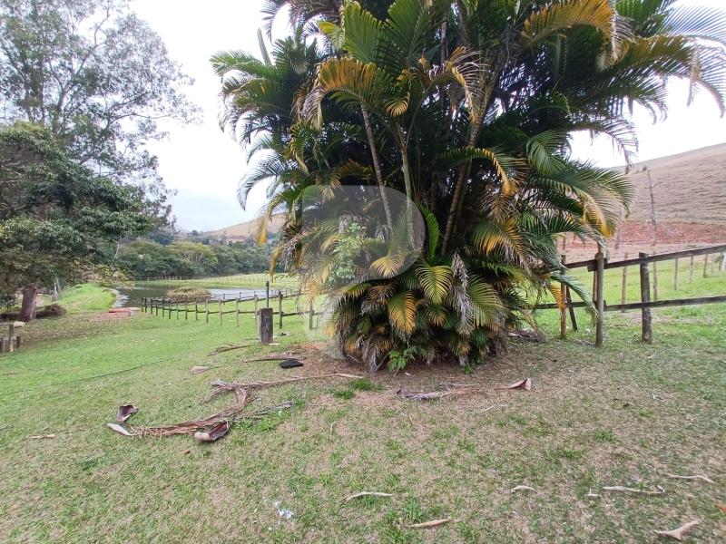 Fazenda / Sítio à venda em Pedro do Rio, Petrópolis - RJ - Foto 42