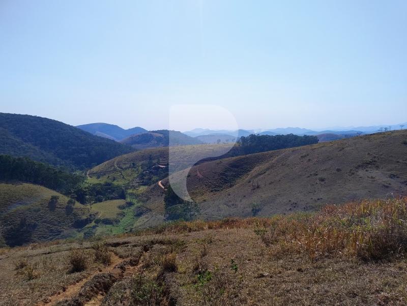 Fazenda / Sítio à venda em Sebollas, Paraíba do Sul - RJ - Foto 3