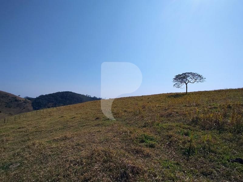 Fazenda / Sítio à venda em Sebollas, Paraíba do Sul - RJ - Foto 4