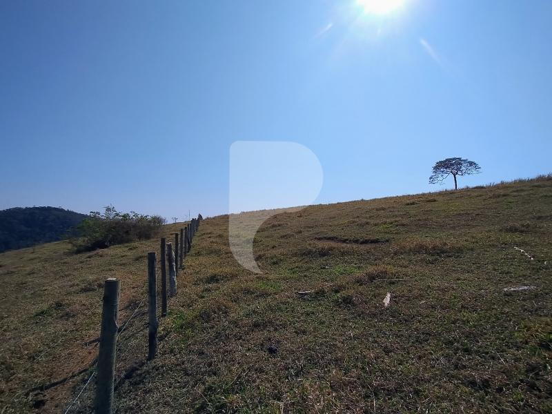 Fazenda / Sítio à venda em Sebollas, Paraíba do Sul - RJ - Foto 5
