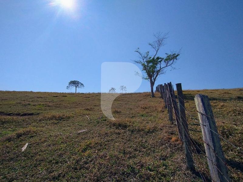 Fazenda / Sítio à venda em Sebollas, Paraíba do Sul - RJ - Foto 6