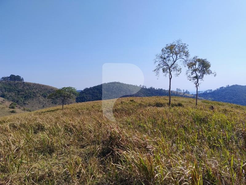 Fazenda / Sítio à venda em Sebollas, Paraíba do Sul - RJ - Foto 7