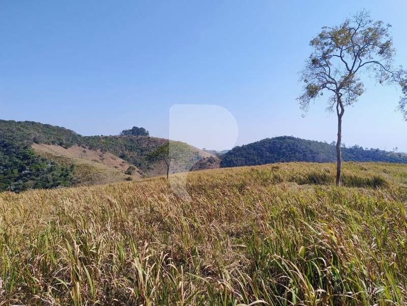 Fazenda / Sítio à venda em Sebollas, Paraíba do Sul - RJ - Foto 9