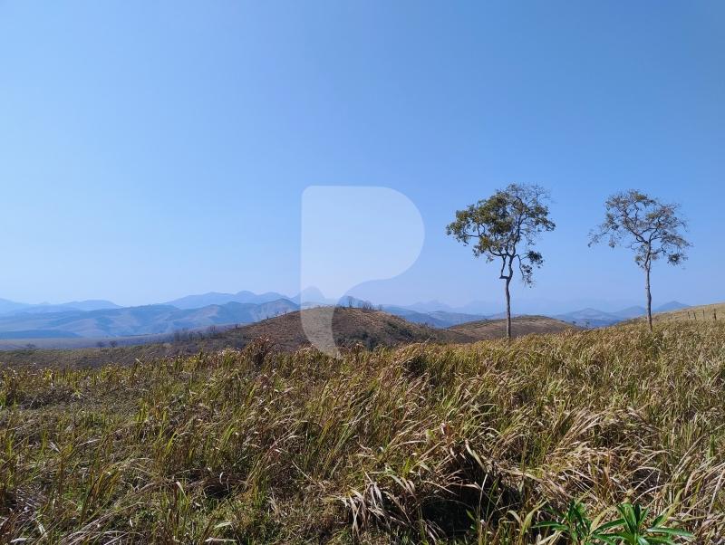 Fazenda / Sítio à venda em Sebollas, Paraíba do Sul - RJ - Foto 10